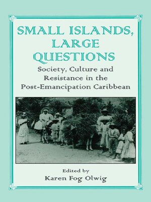 cover image of Small Islands, Large Questions
